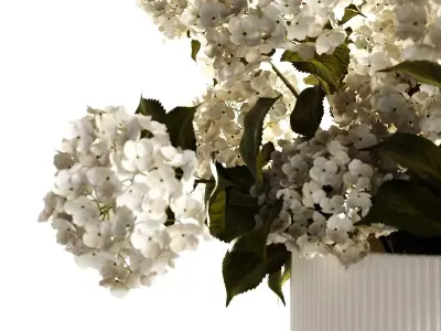 Hydrangea in ripple vase 3D model