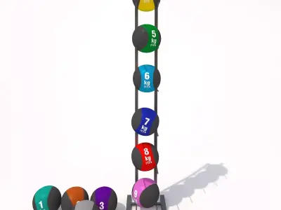 Medicine Balls 3D model