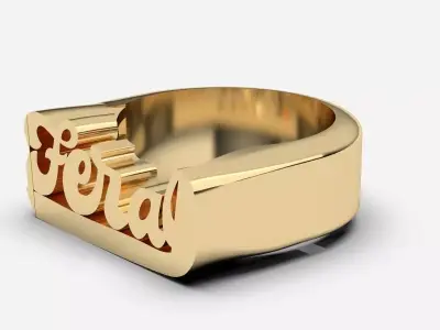 Custon Name Ring 3D print model