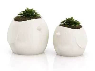 Two Plants in Bird Pots 3D model