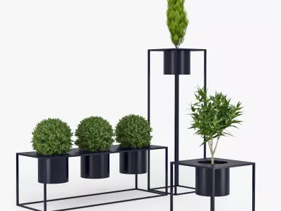 Box plant 3D model