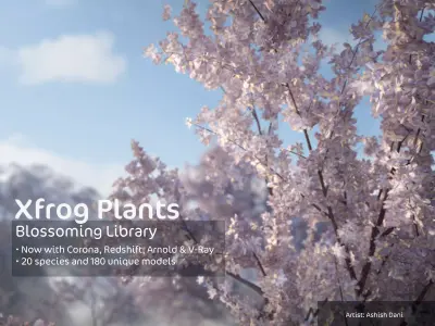 2020 XfrogPlants Blossoming Trees Library  3D model
