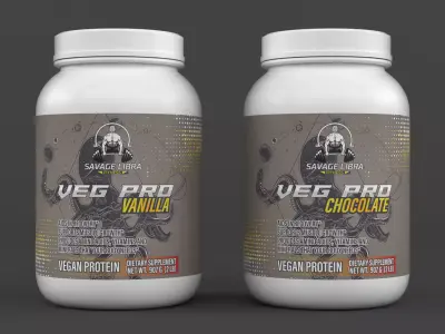 Protein Powder 3D model 170