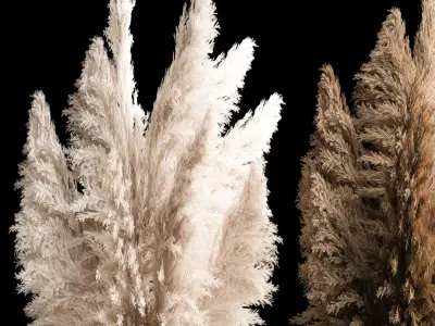 Bouquet Of Dry Reeds In A Black Metal Pot 272 3D model