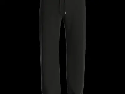 Male sweatpants 3D model