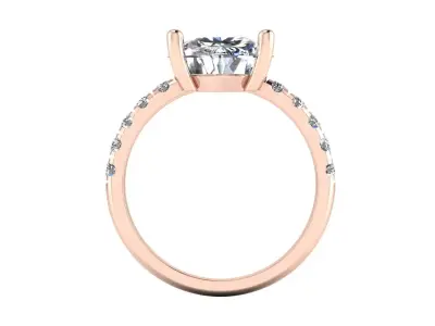 Solitaire Rig 3D print model