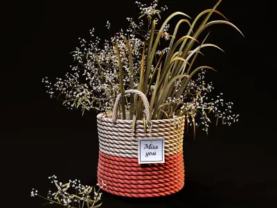 Field plants set 3D model