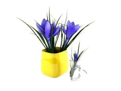 Crocus in vase 3D model