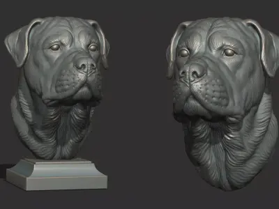 Rottweiler head dog 3D print model