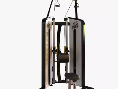 Gym FUNCTIONAL TRAINER 3D model