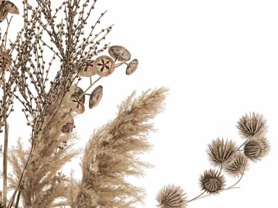 Bouquet of dried flowers in a vase 185 3D model