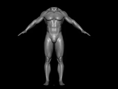 Human body 3D model