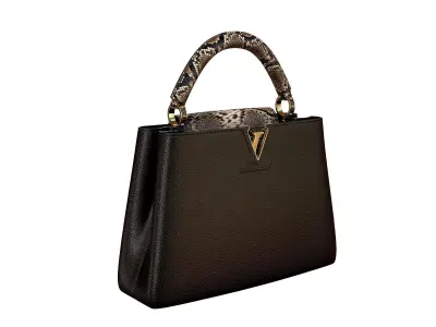 Louis Vuitton bag Capucines Black Snake Leather 3D model