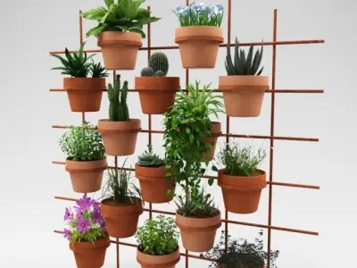 Cactus decor 3D model