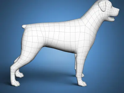 Rottweiler Dog Base Mesh  Low-poly 3D model