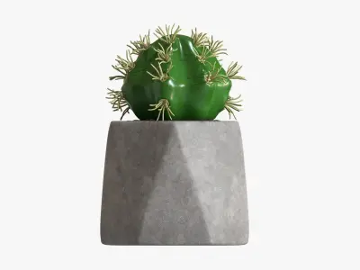 Potted plant decorative 09 3D model