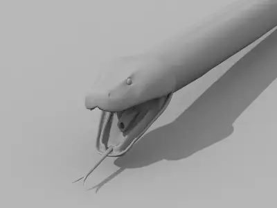 Burmese Python Snake shape model 3D model