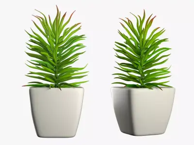Pot Plant 12 3D model