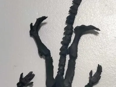 REAL ALIEN XENOMORPH FLEXI Free 3D print model