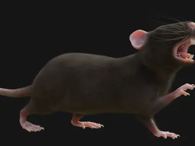 RET FOR VFX CGI 3D model