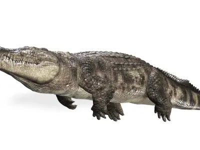 Crocodile RIGGED ALLIGATOR 3D PRINTABLE LIZARD Low-poly 3D model