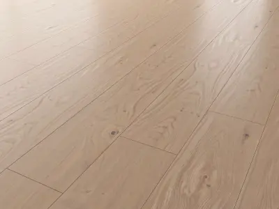  Wood Floor Oak Colonial Style WWL 3D model
