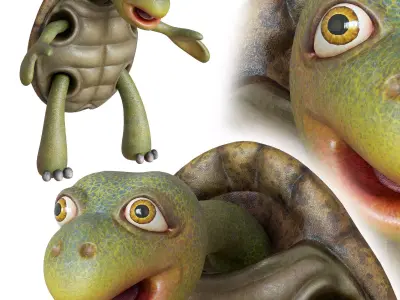 Cartoon Turtle Low-poly 3D model