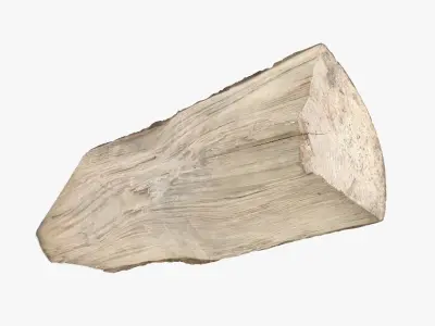 Log Fraxinus Low-poly 3D model