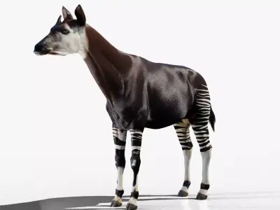 Okapi rigged Low-poly 3D model