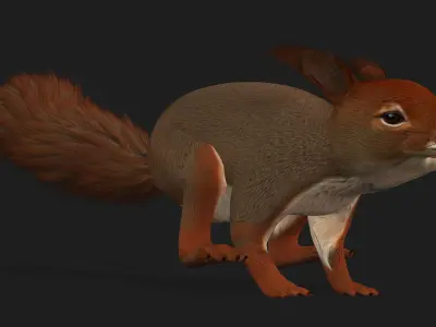 Squirrel-V1E 3D model