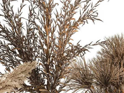 Set of bouquets of dried flowers palm leaf pampas 331 3D model