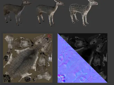 Roe Deer - Fawn Cub Baby Low-poly 3D model