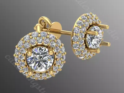 Earrings bi 15 3D print model