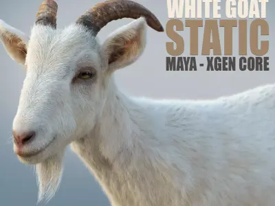 White Goat static Xgen Core 3D model