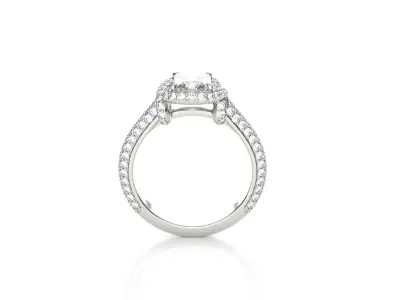 Emerald Cut Fancy Engagement Ring 3D print model