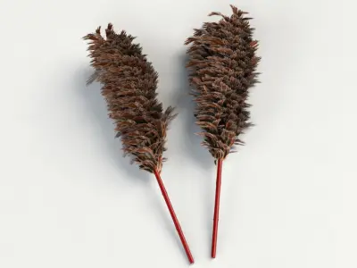 Feather Duster 3D model