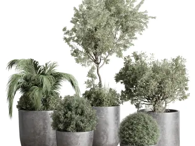 set Outdoor Indoor plant  concrete dirt vase pot tree bush palm 3D model