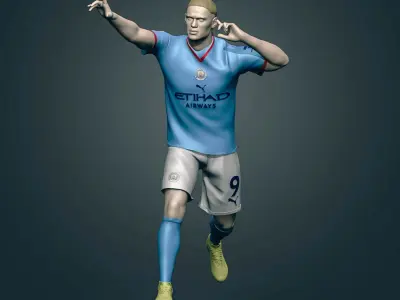 Erling Haaland 3D Printable 3 3D print model