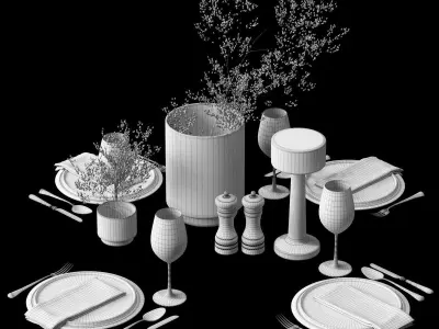 Serving set with dried flowers 3D model