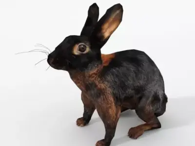 Tan Rabbit Low-poly 3D model
