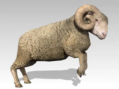 Ram Animated Low-poly 3D model