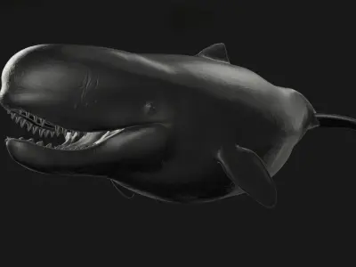 Livyatan Melvillei  3D model purchase