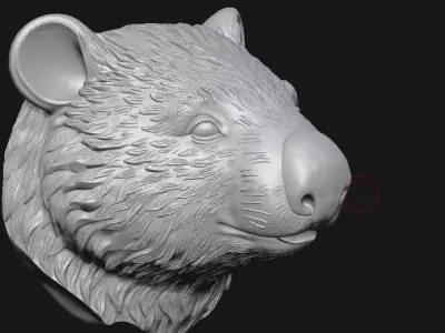 wombat 3D print model