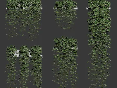 Hanging ivy in pots on the shelves - 5 models 3D model