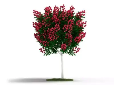 Decorative Ornamental Plant 3D model