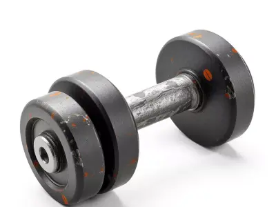 Realistic Worn Gym Dumbbell Low-poly 3D model