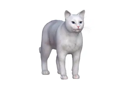 Turkish Angora Cat Low-poly 3D model