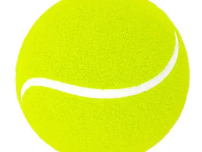 Tenis Ball 3D model buy