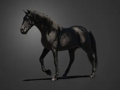 Black horse animated 3D model