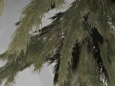 Tree Textured - Game Asset -  Arvore Low-poly 3D model